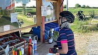Aardbeien langs de weg