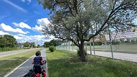 Onderweg naar Heidelberg