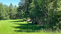Mooi groen landschap