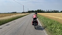 3E229491-D9E0-489E-BE06-C708BCA54163