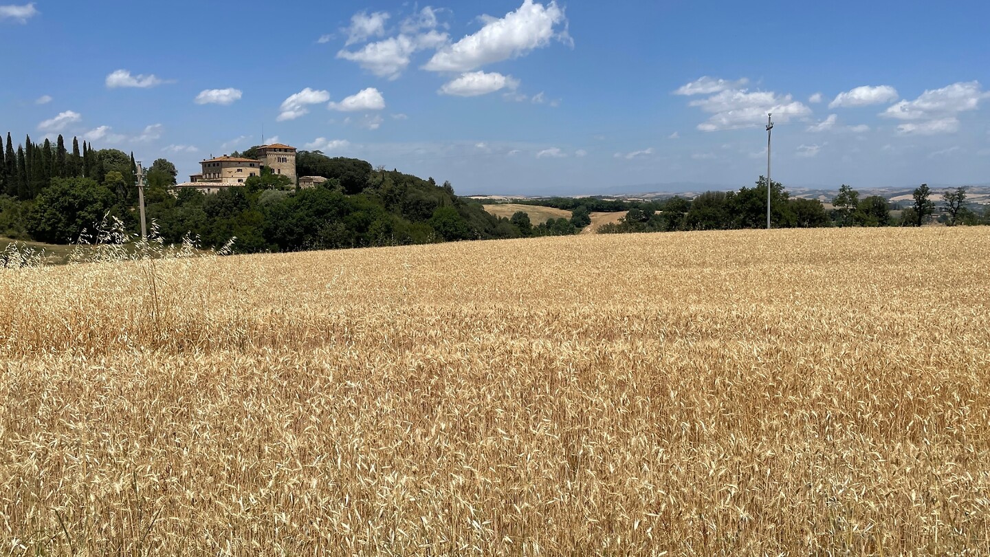 Toscaans landschap onderweg naar Montalcino
