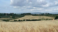 Toscaans landschap onderweg tussen Siena en Montalcino