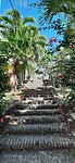 de 99 steps op