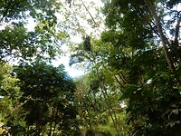 DSCN4323