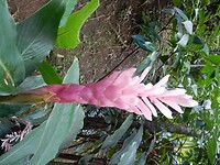 DSCN4324