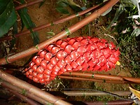 DSCN4325
