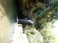 DSCN4327