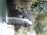 DSCN4328