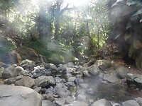 DSCN4329