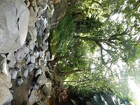 DSCN4330