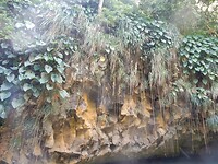 DSCN4332