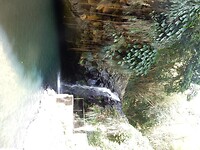 DSCN4334