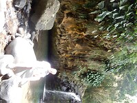 DSCN4342