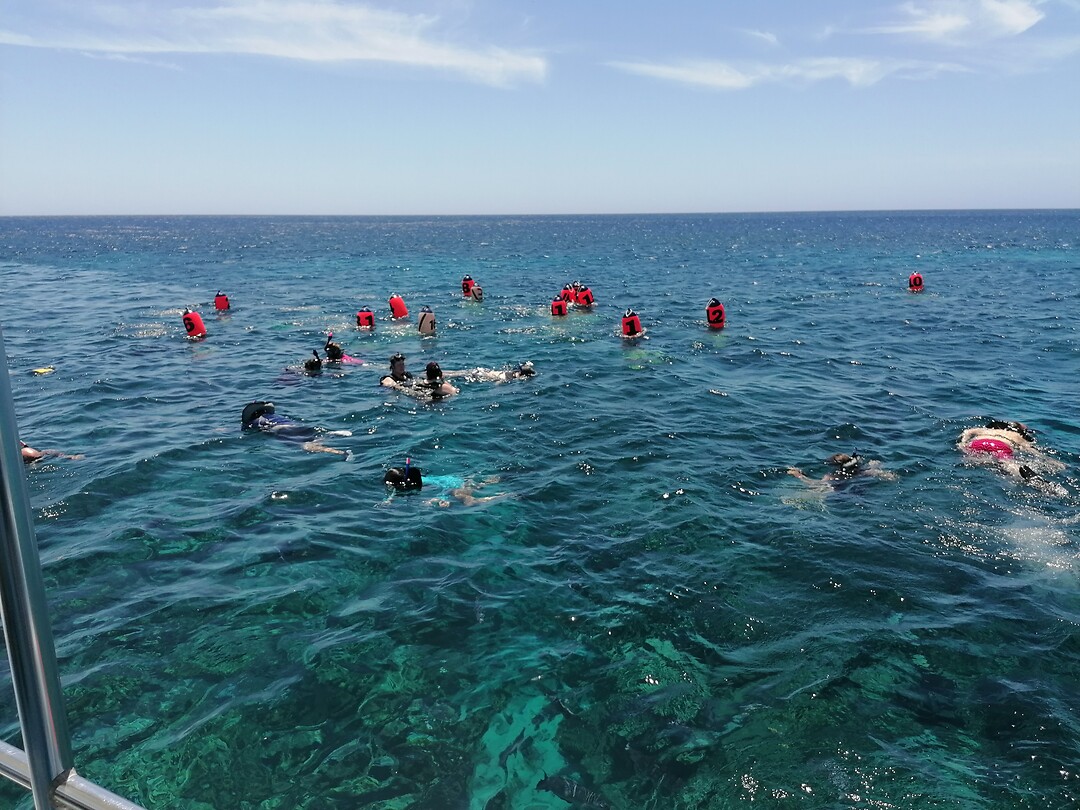 321. Snorkelen