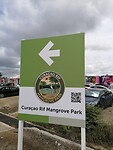294. Naar de Mangrove