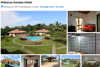 Hibiscus garden resort - Tissamaharama