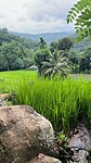 IMG_5881