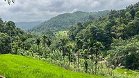 IMG_5897