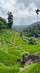 IMG_5910