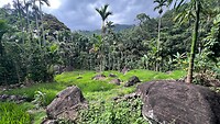 IMG_5916