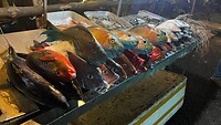 IMG_6656