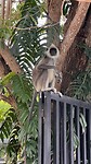 IMG_6882