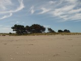 Oceaan kust Christchurch