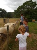 Smits Farm holiday park