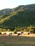 Smits Farm holiday park