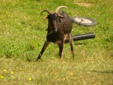 Smiths Farm Holiday park