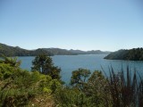 Queen Charlotte Sound