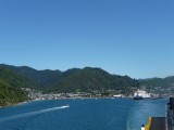 Haven Picton