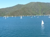 Queen Charlotte Sound