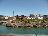 haven Wellington