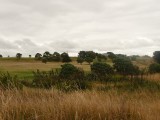 golfcourt New Plymouth