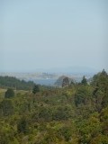 Zuid Coromandel, oostkust