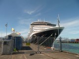 De Noordam, Auckland haven