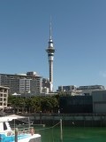 Auckland havengebied