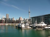Auckland havengebied