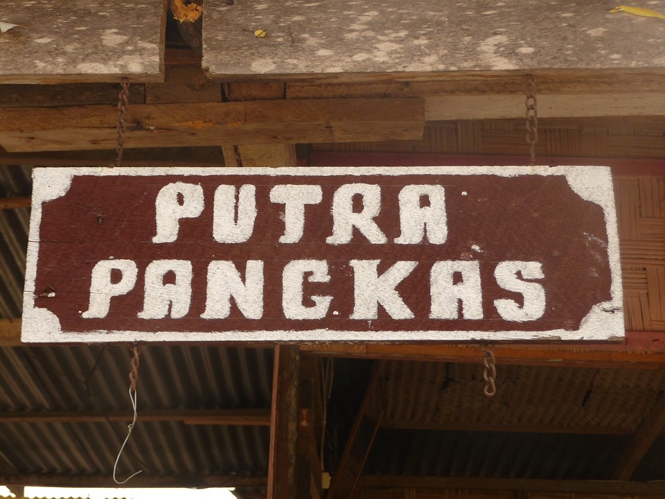 De plaatselijke kapper: Pangkas