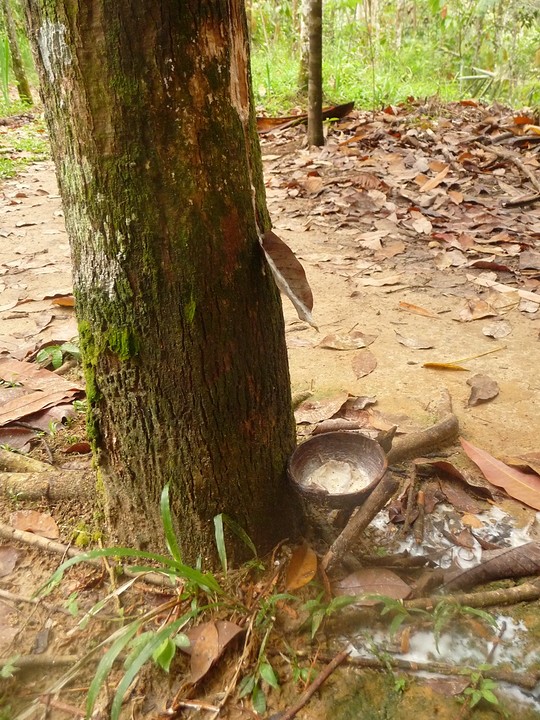 Rubber boom met latex