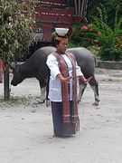 Traditionele dans in koningsdorp Huta Bolon (Toba Bataks), Simanindo