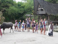 Traditionele dans in koningsdorp Huta Bolon (Toba Bataks), Simanindo