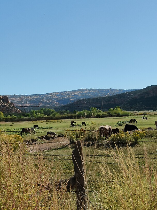 1000021301