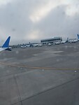1000022564
