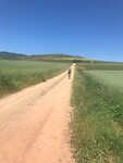 De eenzame fietser, Ben, op weg naar Belorado.