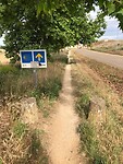 Het Camino-pad