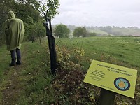 Er zijn langs de route fruitbomen geplaatst speciaal voor de pelgrims!