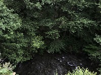 Río Sarria stroomt naast ons pad, donker verborgen onder de bomen