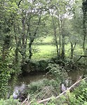 Río Sarria stroomt als een gezellige beek met ons mee